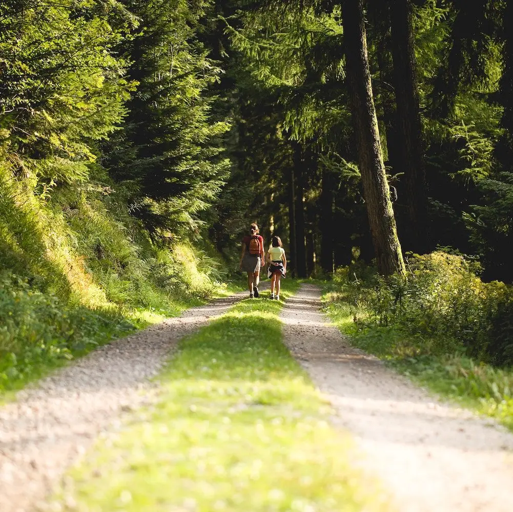 People walking on a path in the forest